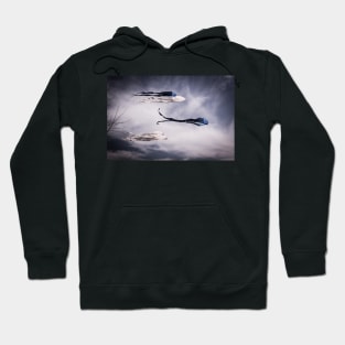 Kites In The Wind Hoodie